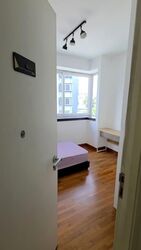 Nuovo (D20), Condominium #554362441